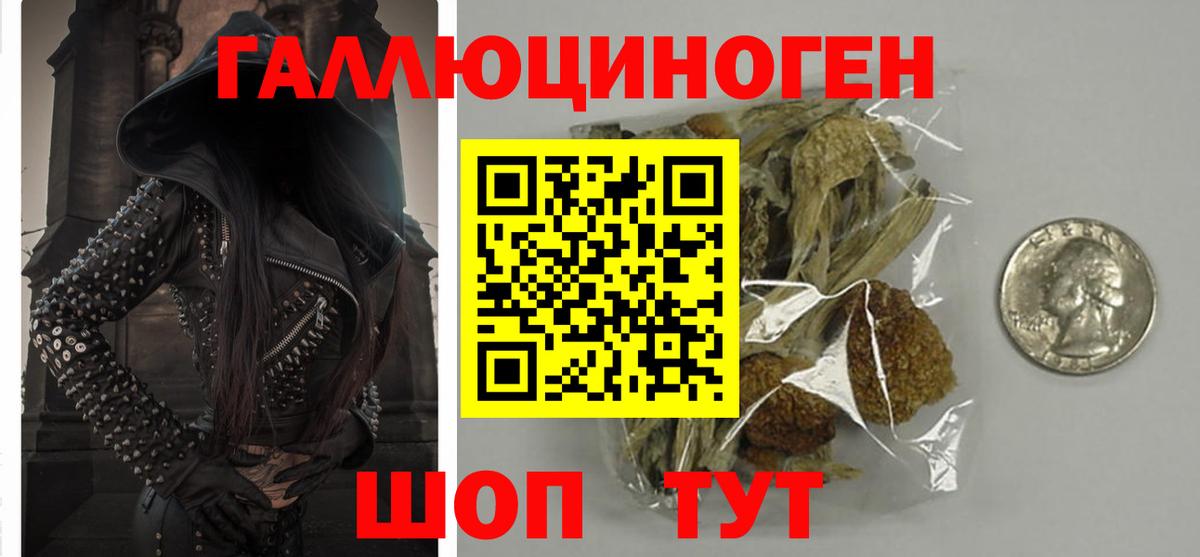 Великий Устюг  Галлюциногенные грибы Psilocybe  Вход с VPN 