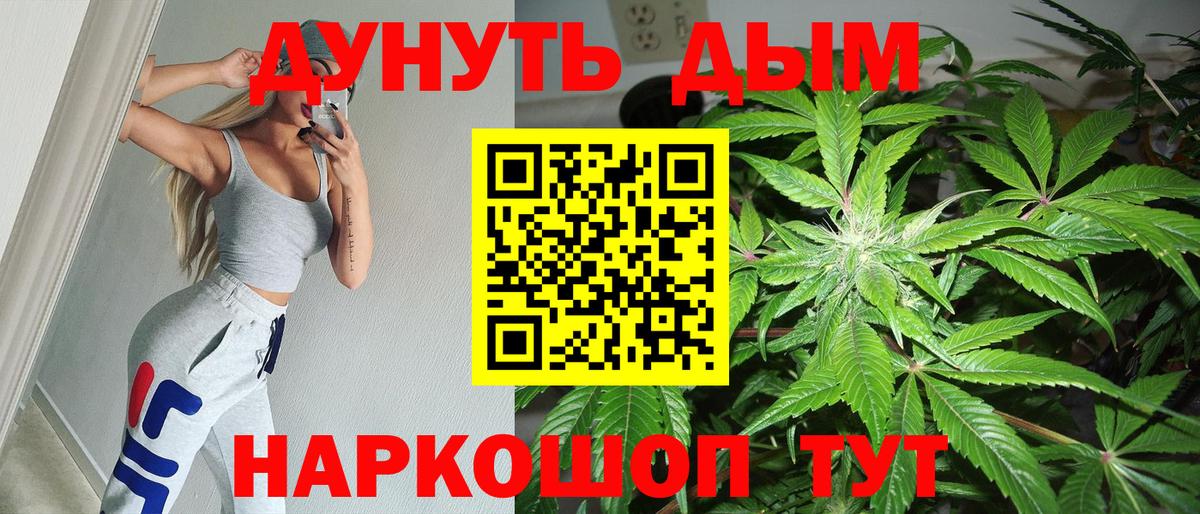 Великий Устюг  Бошки марихуана сатива  Конопля гибрид  Вход с VPN  Конопля конопля  Бошки Шишки марихуана 